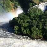 murchison-falls-National-park-uganda