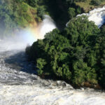 murchison-falls-National-park-uganda
